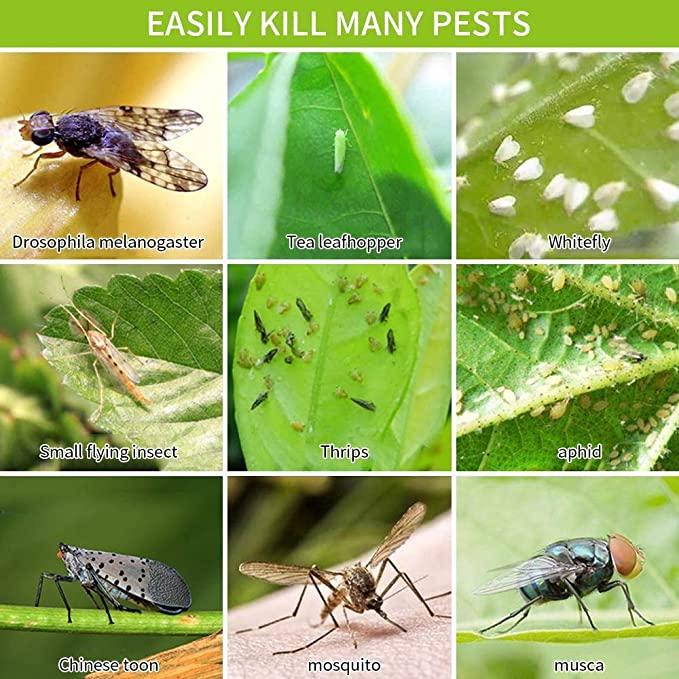 20X Flugfångare Klisterfälla Insektsfälla Generic