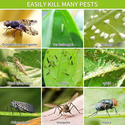 20X Flugfångare Klisterfälla Insektsfälla Generic